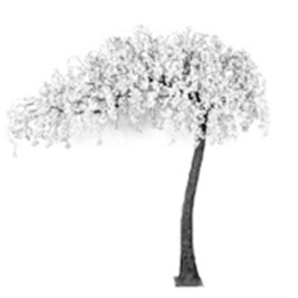 ARTIFICIAL TREE WITH WHITE FLOWERS 310CM HIGH
