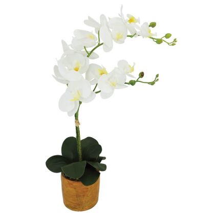 BUTTERFLY ORCHID x2 WHITE REAL TOUCH IN CASPO H63cm 6/BOX