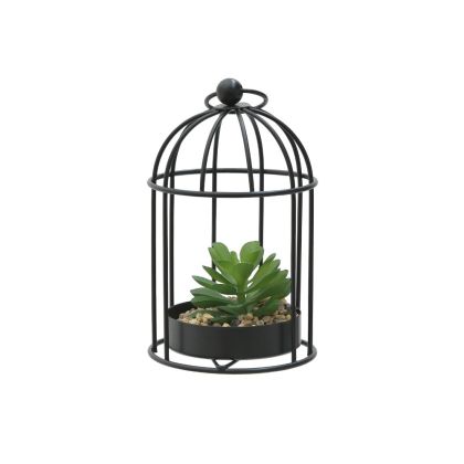 HANGING PLANT IN METAL CAGE Φ10X17
