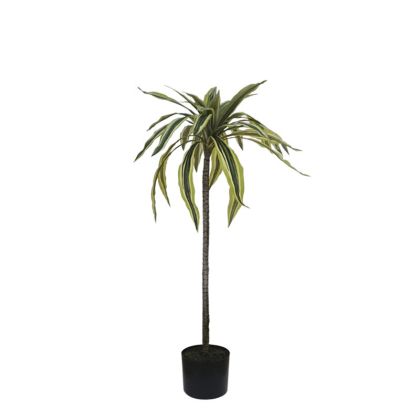 Real touch dracaena tree in plastic pot - H96cm