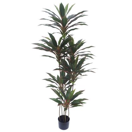 DRAGON TREE RED REAL TOUCH IN A POT - H150cm