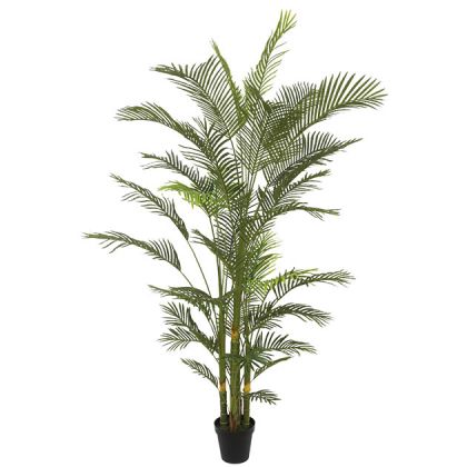 KENTIA TREE TRUNK REAL TOUCH IN POT Y240cm