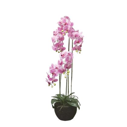 ORCHID PLANT PINK BLOOMING REAL TOUCH - H110cm