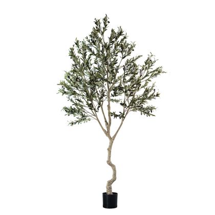 POTTED OLIVE TREE ASSEMBLED - H240cm