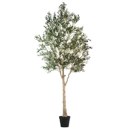 POTTED OLIVE TREE ASSEMBLED - H300cm