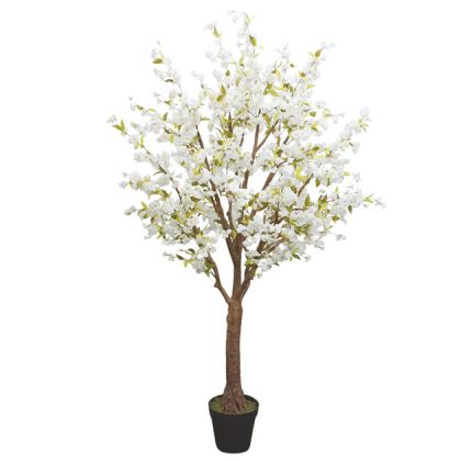 Бяло дърво японска вишна с цветчета в саксия - h230 см