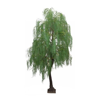 Зелено върбово дърво h310 см