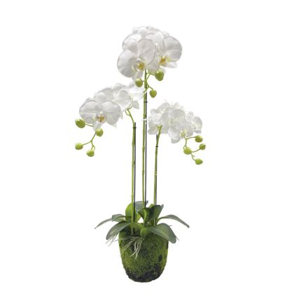 ARTIFICIAL ORCHID PLANT WHITE REAL TOUCH - Η82cm