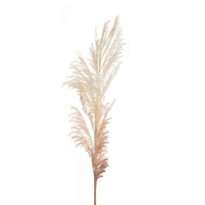 DECO NATURAL CREAM ARTIFICIAL FLOWER PAMPAS