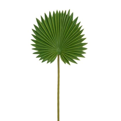 GREEN PALM STEM D15CM