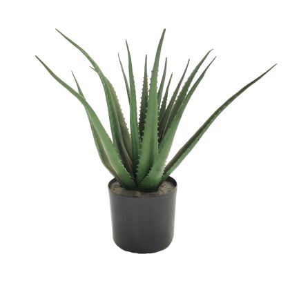 Декоративно растение Aloe в кашпа Inart H51cm