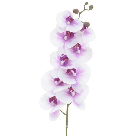 SYNTHETIC ORCHID 