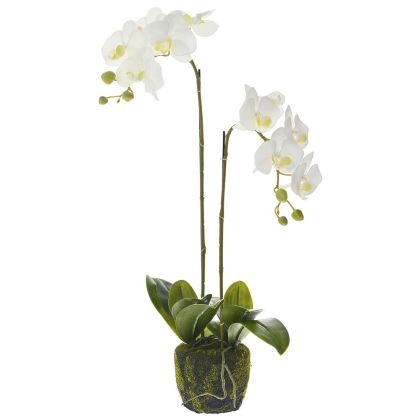 Изкуствена бяла орхидея 65CM в кашпа с мъх