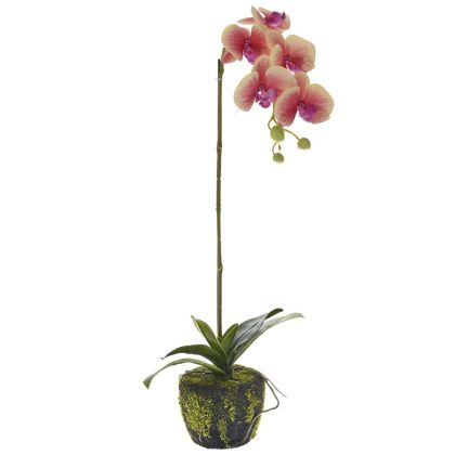 Изкуствена розова орхидея 65 CM в кашпа с мъх