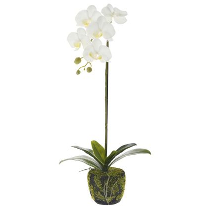 Изкуствена бяла орхидея 65 CM в кашпа с мъх
