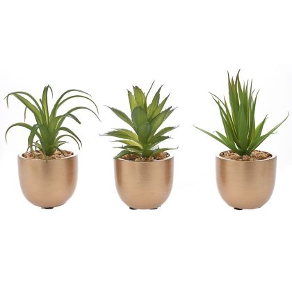 Изкуствено сукулентно растение в сакия 10-16 см / d 8x7 см в 3 стила