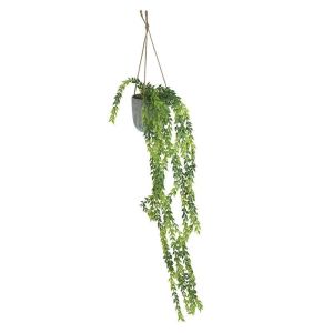 HANGING PLANT IN POT H73