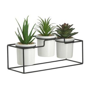 S/3 PLANT IN POTWITH BASE 3 DESIGNS 25X9X18