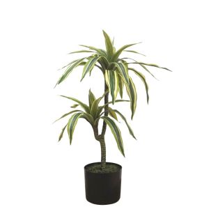 DRACAENA TREE 2 GREEN COLORS REAL TOUCH - H63cm