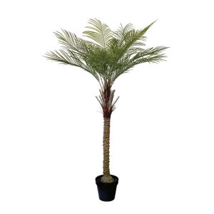 Palm tree in plastic pot - H167cm