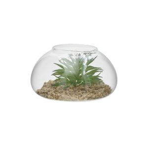 PLANT IN GLASS JAR Φ15X8