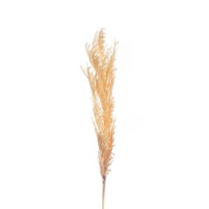 DECO NATURAL YELLOW ARTIFICIAL FLOWER PAMPAS