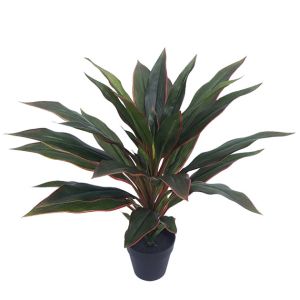 DRAGON PLANT RED REAL TOUCH IN POT - H48cm