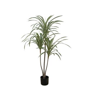 DRAKAINA TREE MARGINATA GREEN TWO COLOR REAL TOUCH - Y135cm