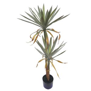 PANASE DOUBLE POTTED YUCA TREE - H122cm