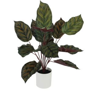 PHYTO PLANT TWO-TONE REAL TOUCH IN CASPO - H40cm