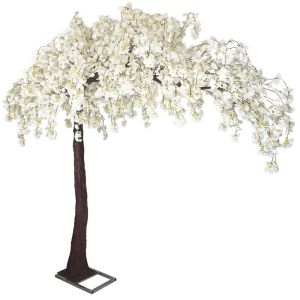 Бяло дърво японска вишна с цветчета - h310 см