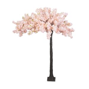 Декоративно растение черешово дърво с цветчета височина 260 см