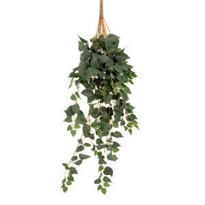 Висяща декорация pothos, 70см