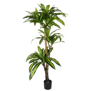 Декоративна палма Dracaena I в кашпа Inart H170cm