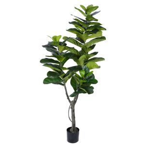 Декоративно дърво Fiddlehead I в кашпа Inart H180cm