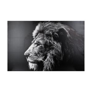 Картина с рамка Lionner mdf 118x3x78cm