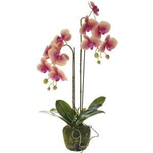 Изкуствена розова орхидея 65CM в кашпа с мъх