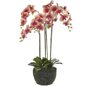 Изкуствена розова орхидея 90CM в кашпа с мъх