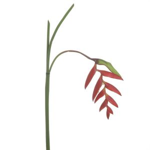 Клонка изкуствено растение цвят жълт/червен H125