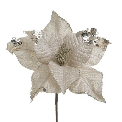 VELVET/PL BRANCH/FLOWER CHAMPAGNE H55
