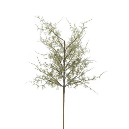 PL/FABRIC BRANCH/PLANT GREEN H78