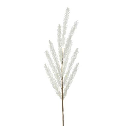 PL/FABRIC BRANCH/PLANT WHITE H92