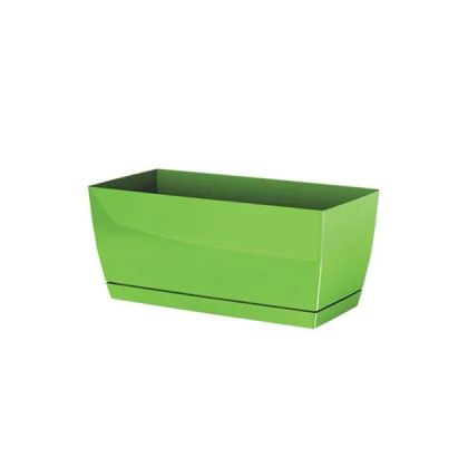 САКСИЯ КУБИ, РАЗМЕР 24x12x11см, 1/10 КУТИЯ