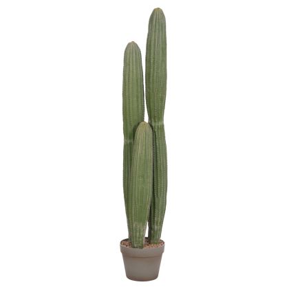 ДЕКОРАТИВНО РАСТЕНИЕ В САКСИЯ HM4744 КАКТУС Φ17.5X105HCM.