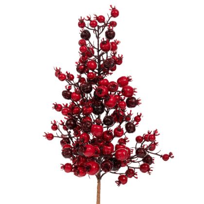 ЧЕРВЕН КЛОН С ПЛОДОВЕ 50 СМ