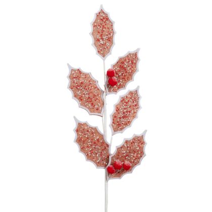 КЛОНКА ДЖИНДЖИФИЛОВО ЦВЕТЕ 65СМ