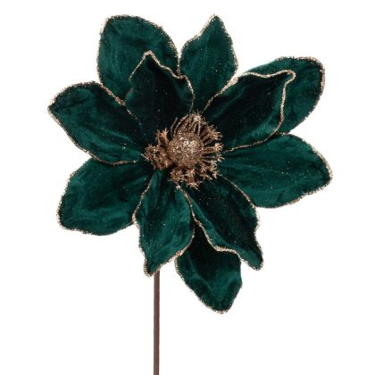 КЛОНКА МАГНОЛИЯ 60СМ