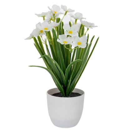 БЕЛИ ЦВЕТЯ В ПЛАСТМАСОВА САКСИЯ 10X9X28 СМ