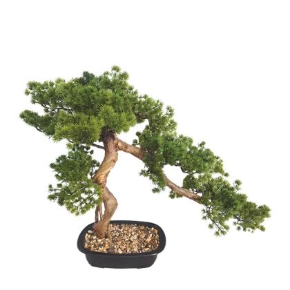 Бонсай дърво малък зелен бор в саксия - 65x38x57см 2/kib