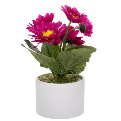 ДЕКОРАТИВЕН ГЕРБЕР В КЕРАМИЧНА САКСИЯ 20 СМ